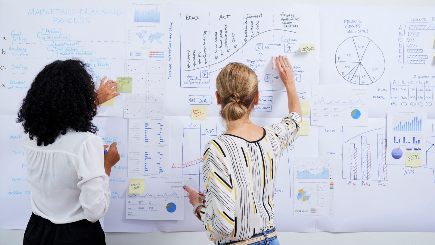 Employment Equity Plan Builder